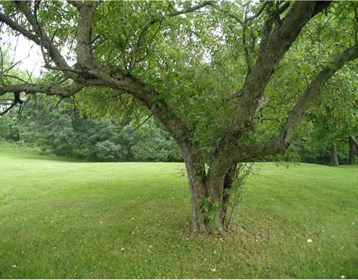 14670 Winchester Road Trafford, PA 15085 - Photo 16 of 18 Land/Lot.