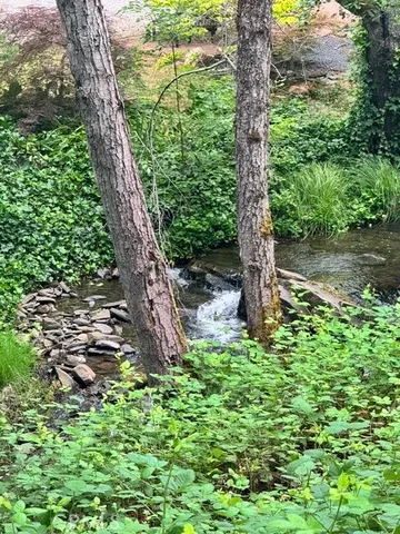 a green field with lots of trees in it