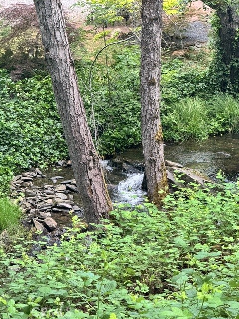 2601 Murphys Grade Road Murphys, CA 95247 - Photo 6 of 10 a green field with lots of trees in it