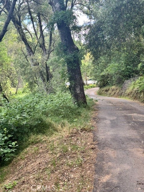 2601 Murphys Grade Road Murphys, CA 95247 - Photo 8 of 10 a backyard of a house with lots of green space