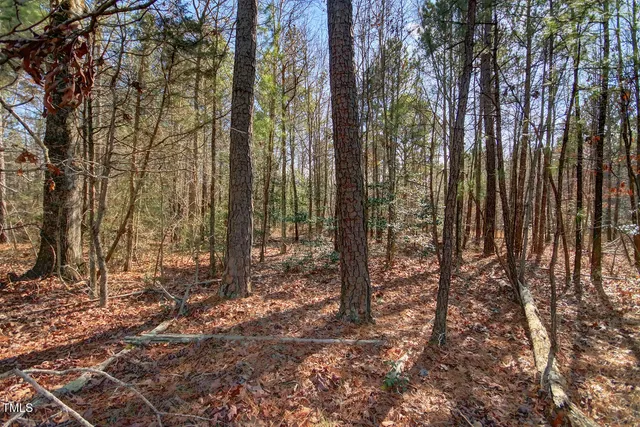 a view of a yard with trees