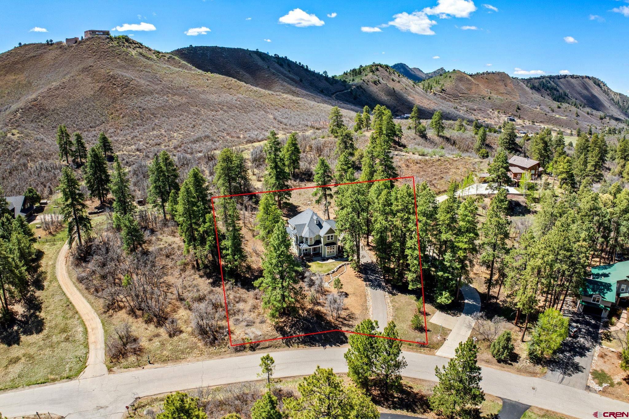 823 The Eagle Pass Durango, CO 81301 - Photo 5 of 42 a view of a yard with a tree