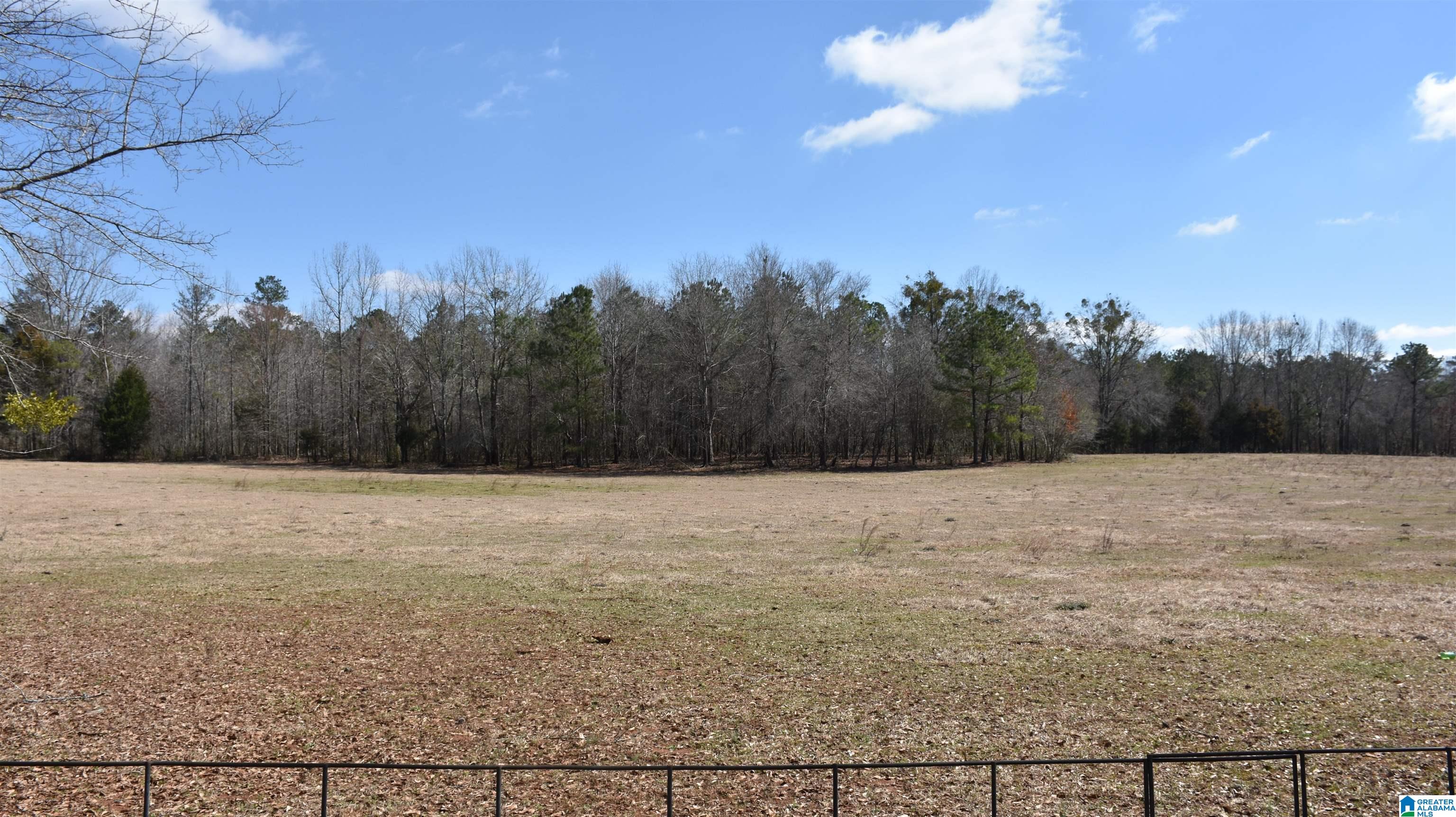2003 New Maryland Road Alpine, AL 35014 - Photo 8 of 38