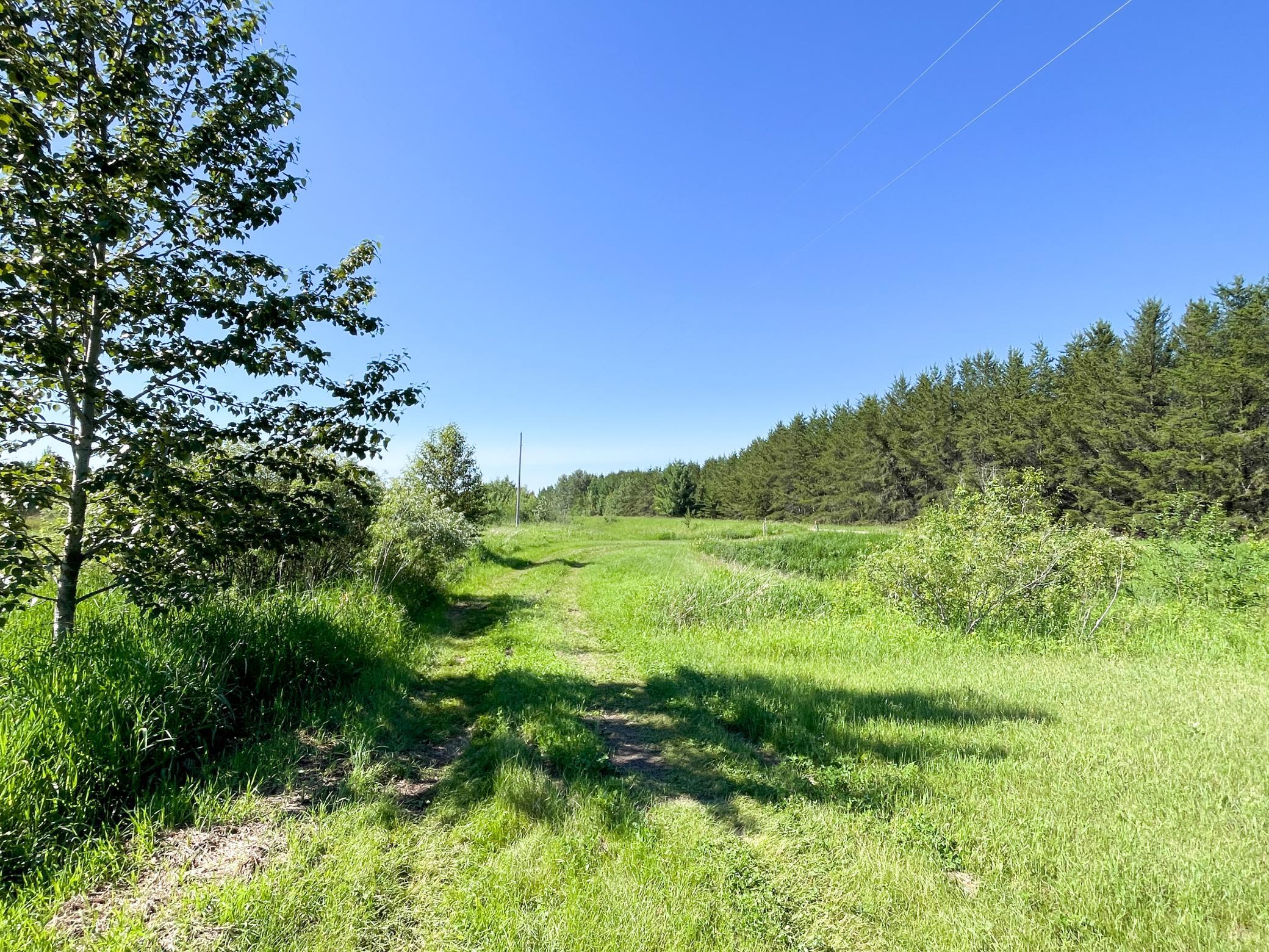 Tbd 440th Avenue Roseau, MN 56751 - Photo 23 of 80