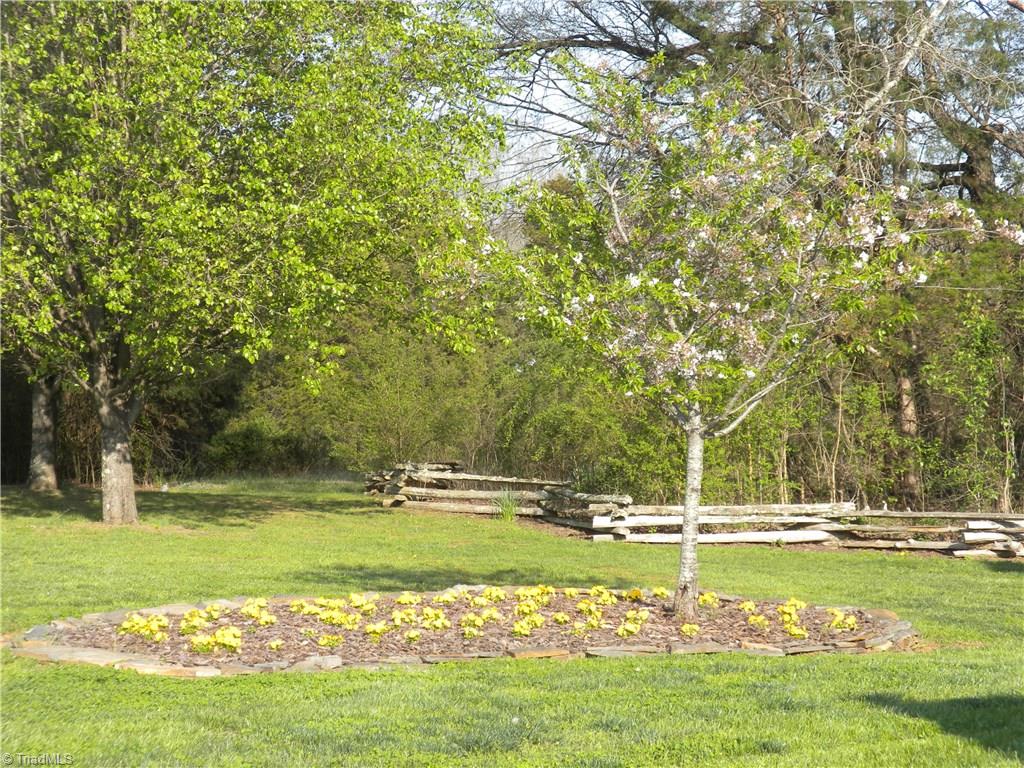 223 Adams Road Mocksville, NC 27028 - Photo 9 of 30 Beautifully manicured lawn.