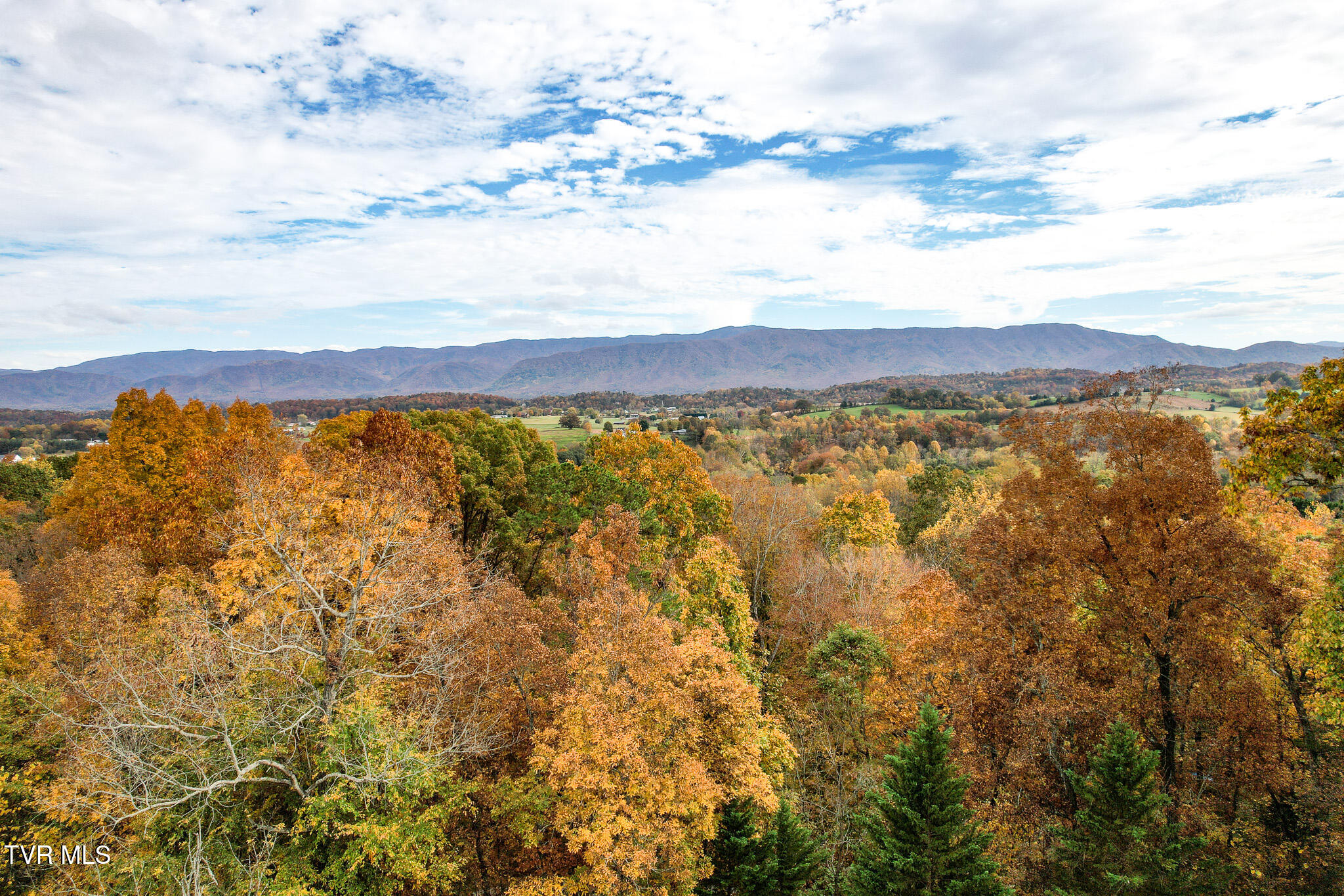 570 Leonard Road Greeneville, TN 37743 - Photo 66 of 85 DJI_0035