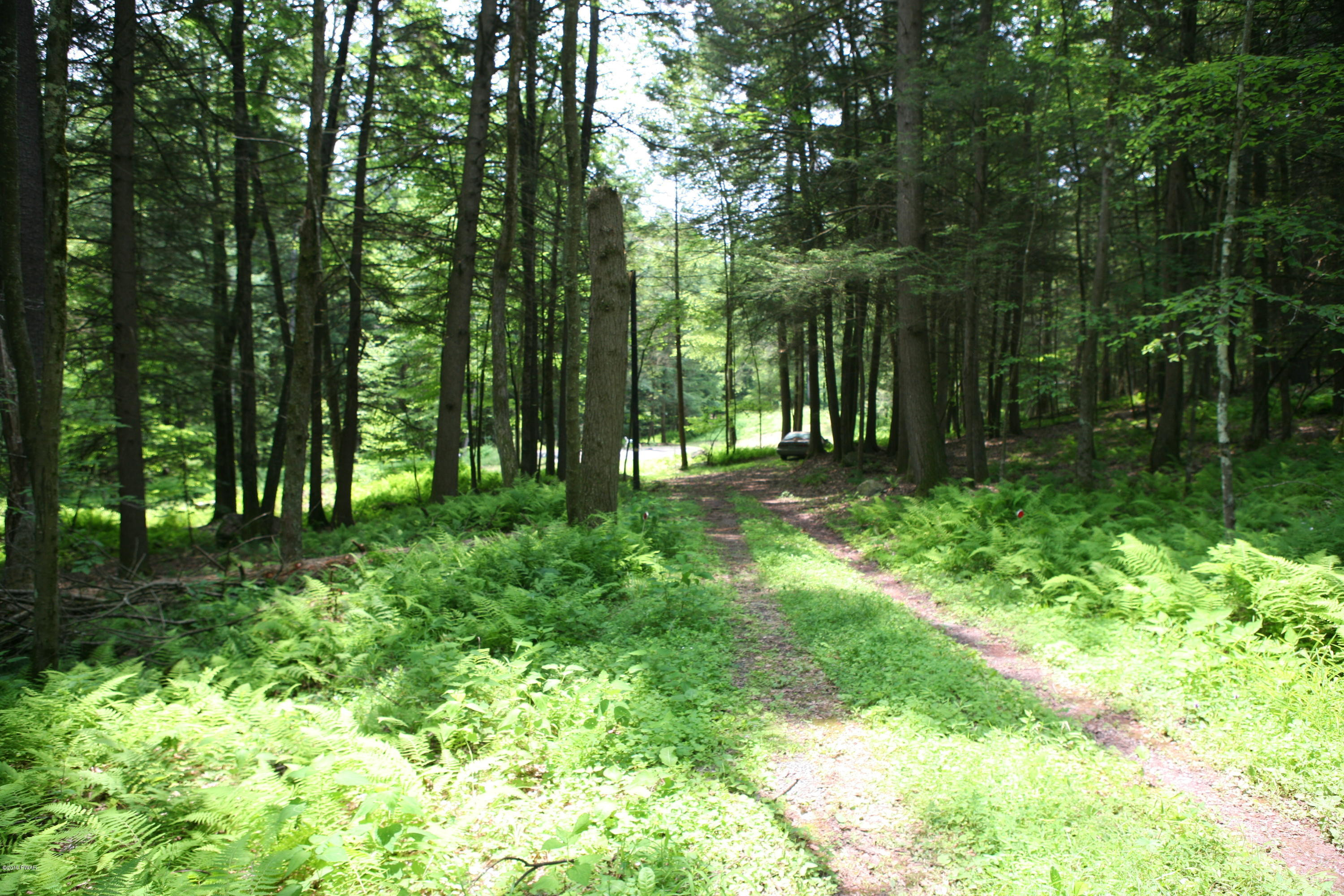 184 Paint Mine Road Damascus, PA 18415 - Photo 4 of 15