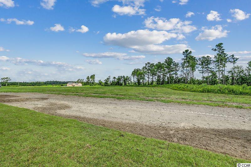1329 Hucks Road Aynor, SC 29511 - Photo 30 of 32 Gallery Image 30