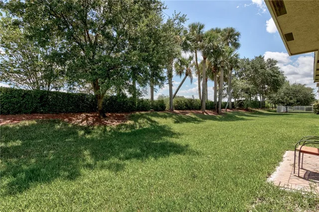 a variety of fruits and vegetables with city view