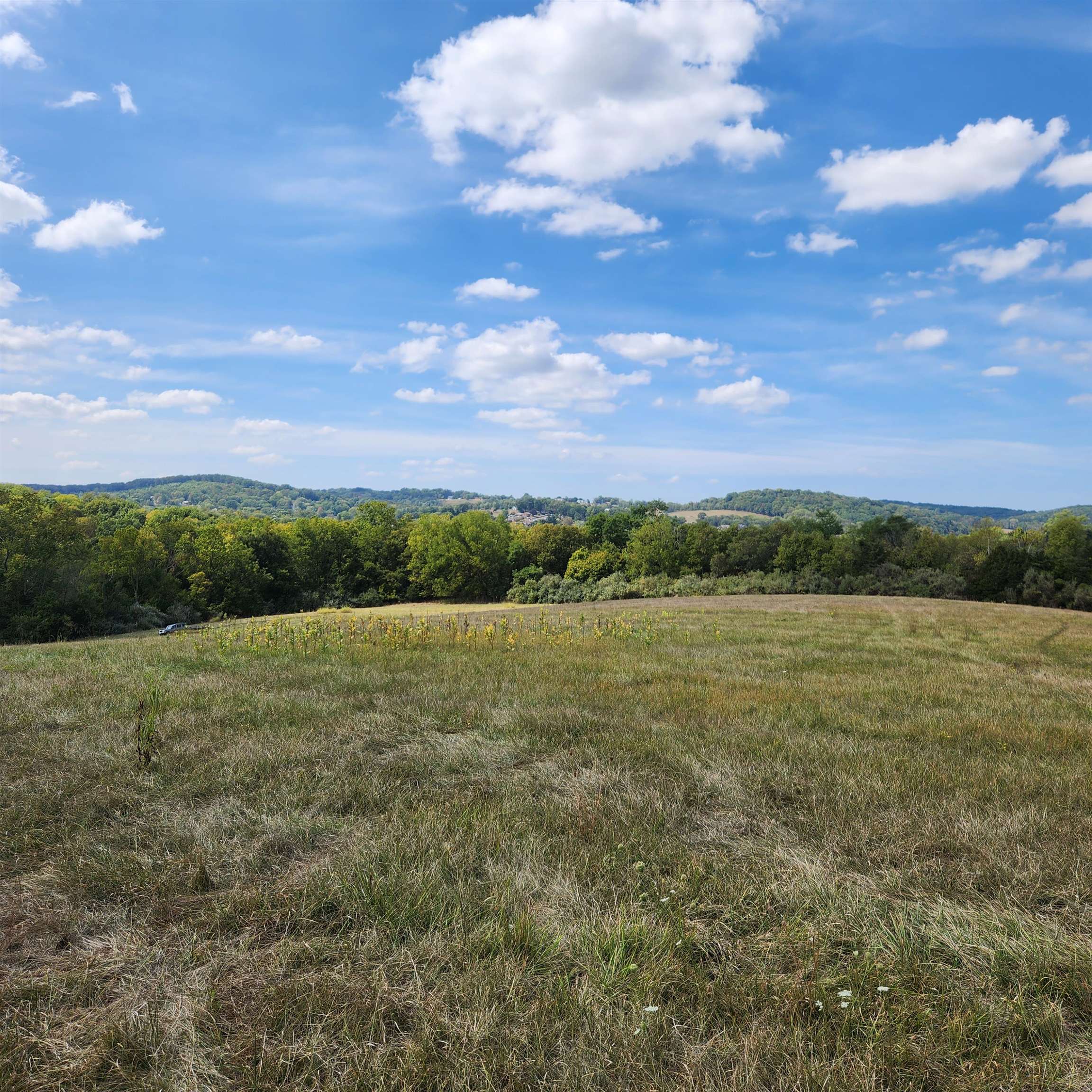 0 Mill Race Road Verona, VA 24482 - Photo 11 of 28 a view of an outdoor space and a yard