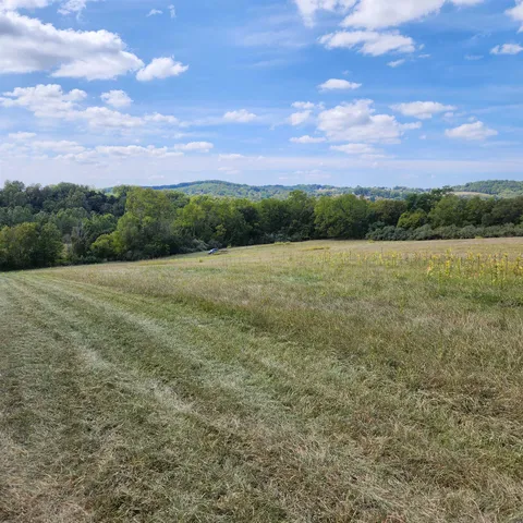 a view of a field with an ocean