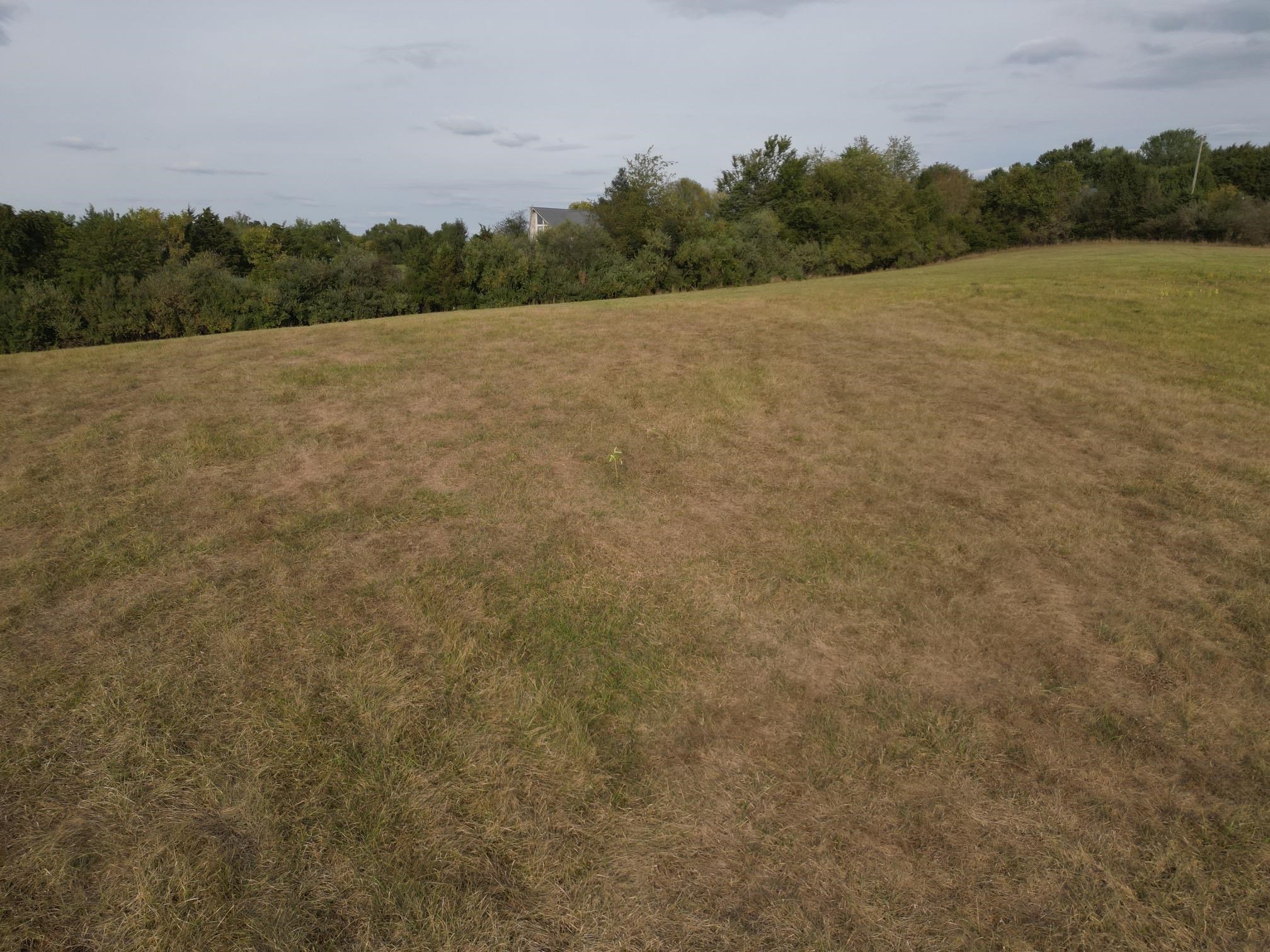 0 Mill Race Road Verona, VA 24482 - Photo 24 of 28 a view of mountain with lake view