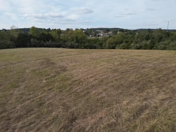 a view of a dry yard