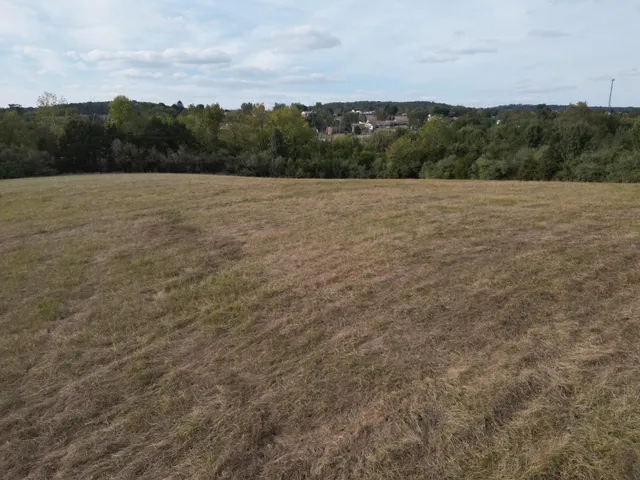 a view of a dry yard