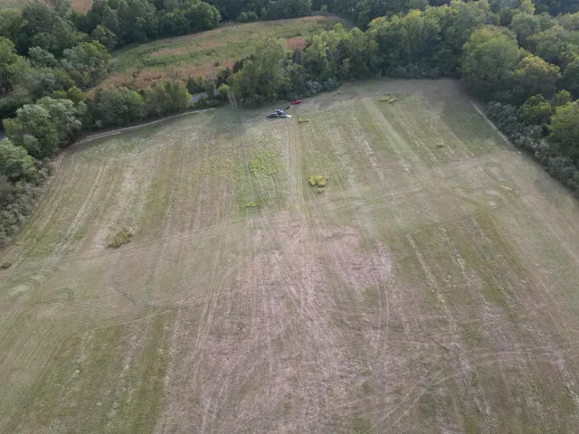 a view of a yard with a tree