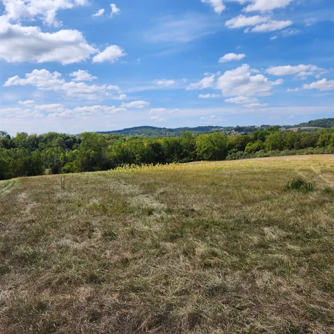 a view of a field with an trees