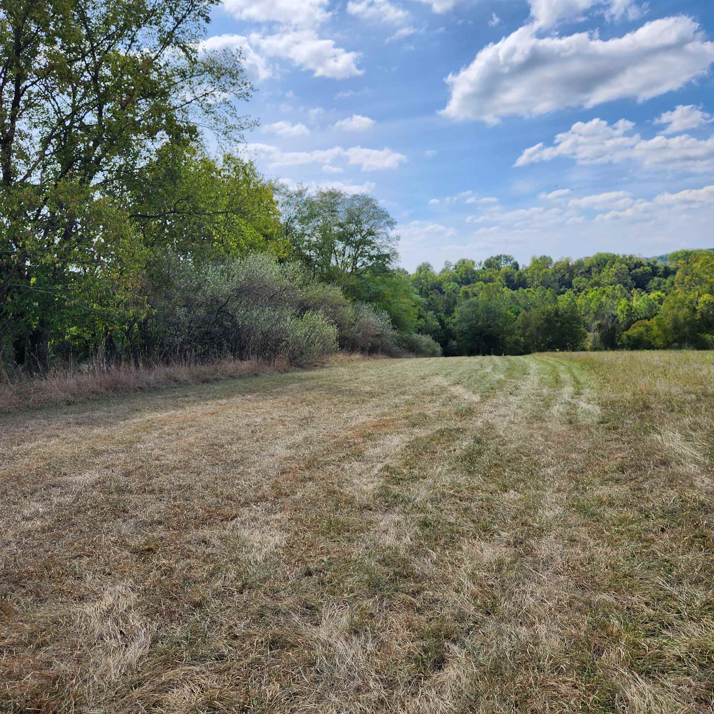 0 Mill Race Road Verona, VA 24482 - Photo 9 of 28 a view of a field with trees in background