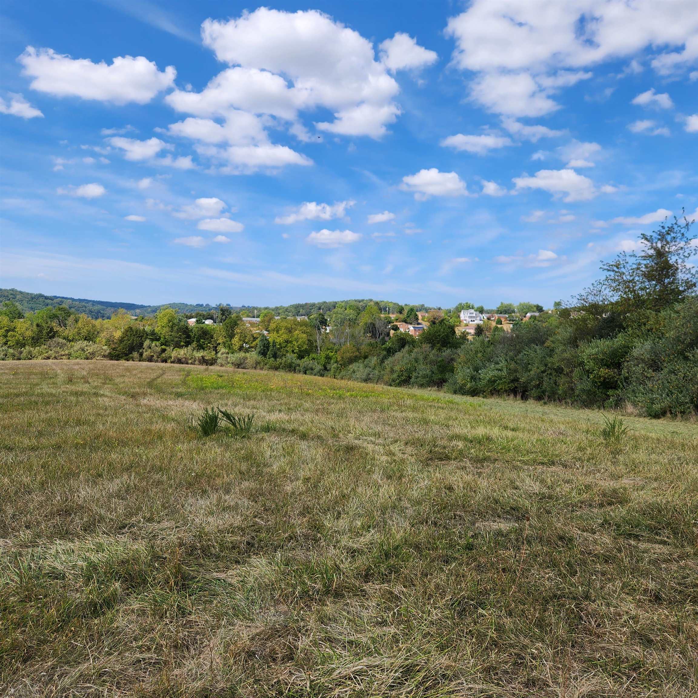 0 Mill Race Road Verona, VA 24482 - Photo 10 of 28 a view of a field with an trees