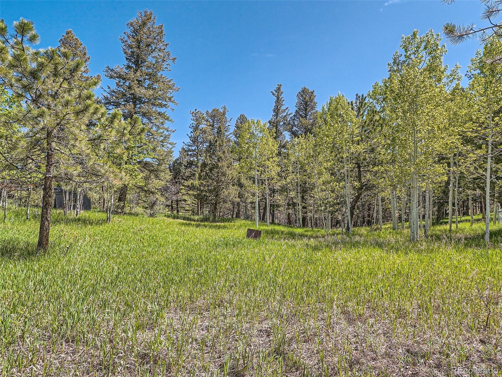 30723 Blue Mountain Road Golden, CO 80403 - Photo 17 of 22 Gallery Image 17