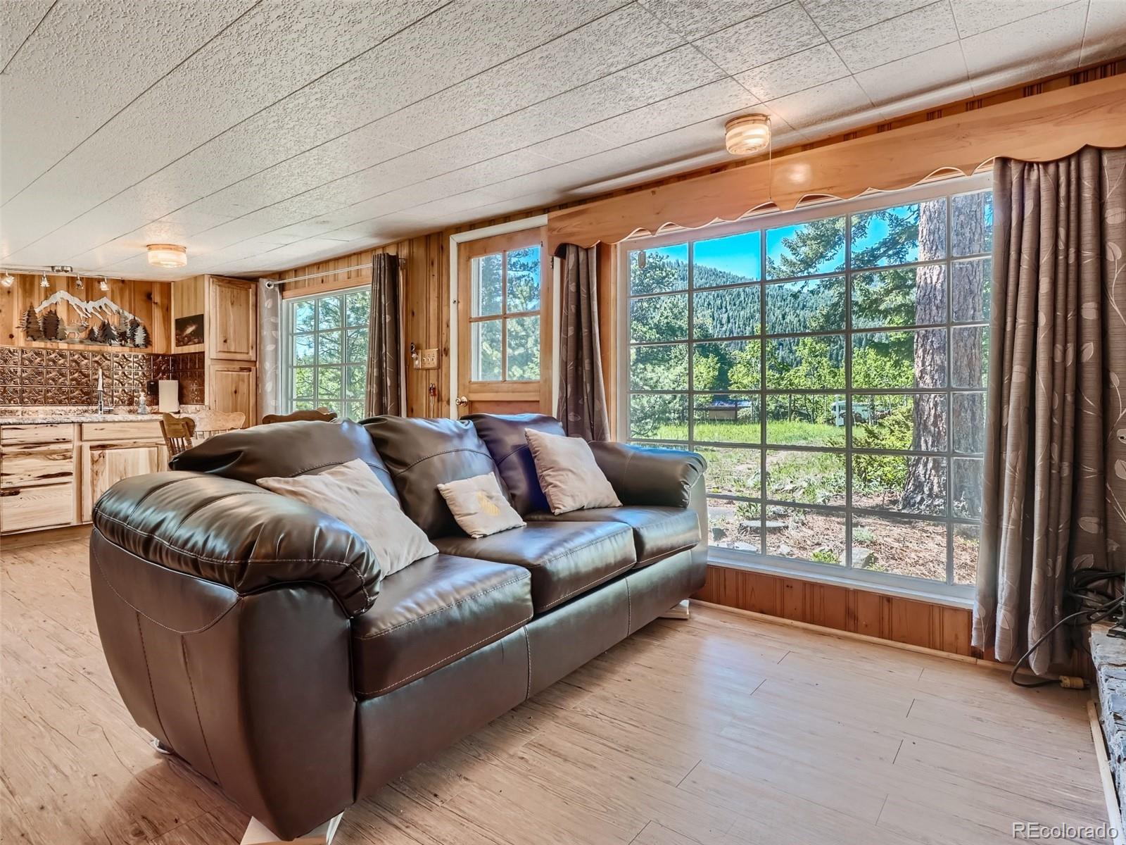 30723 Blue Mountain Road Golden, CO 80403 - Photo 5 of 22 Gallery Image 5