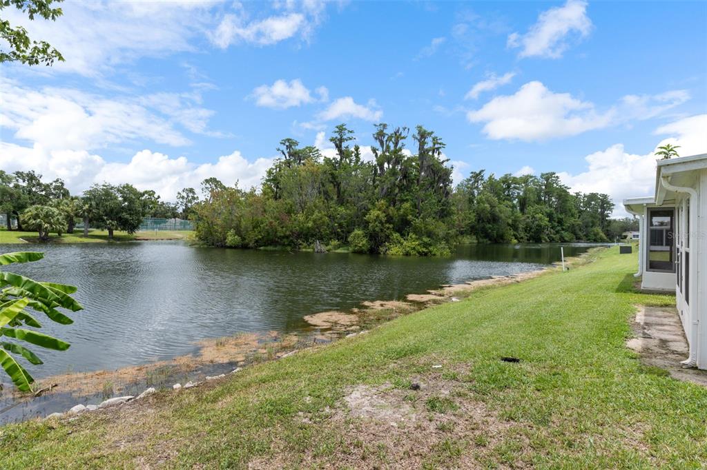 12102 Boynton Lane, Unit B New Port Richey, FL 34654 - Photo 32 of 66