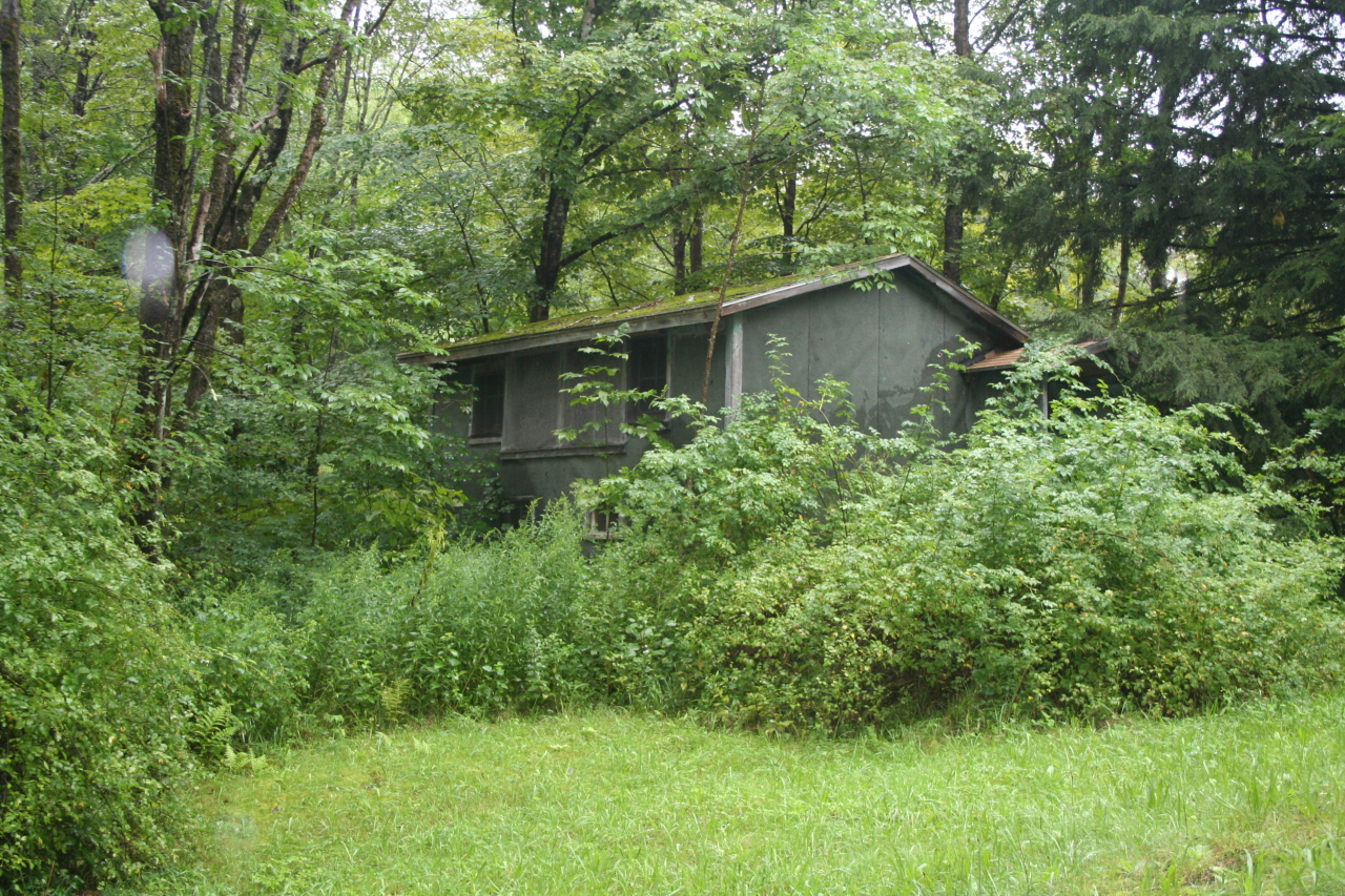 147 Sandisfield Road Sandisfield, MA 01255 - Photo 11 of 26 a view of backyard with green space