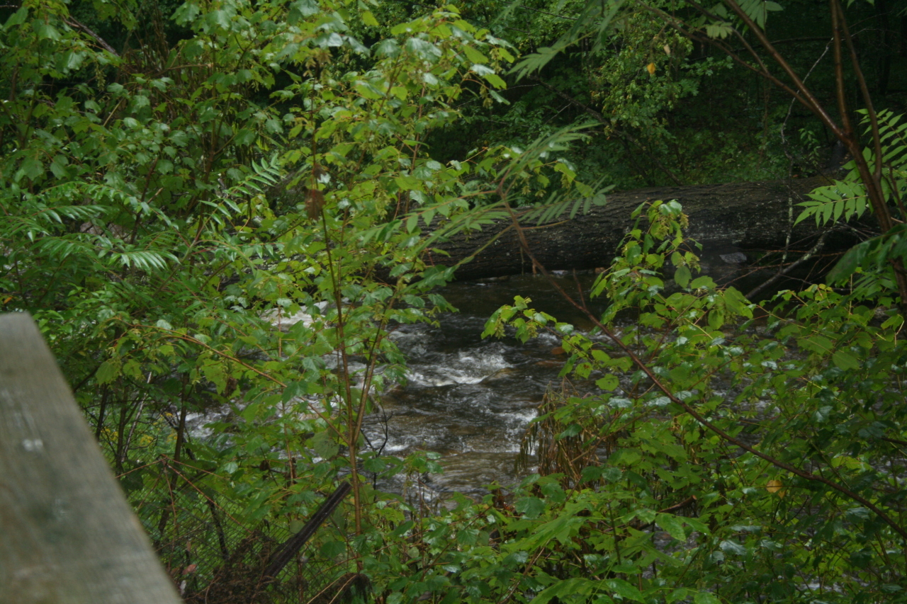 147 Sandisfield Road Sandisfield, MA 01255 - Photo 26 of 26 a backyard of a house with lots of green space