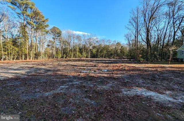 a view of dirt field with trees