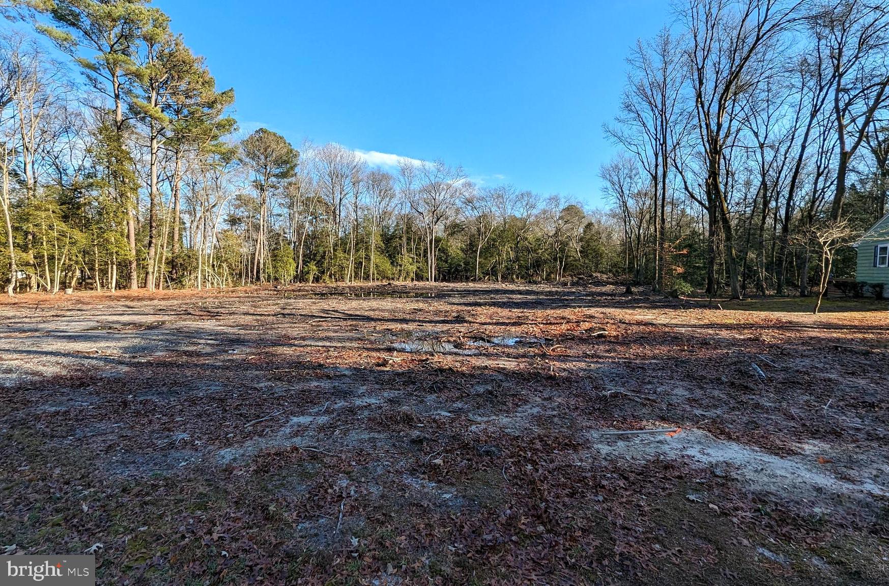 a view of dirt field with trees