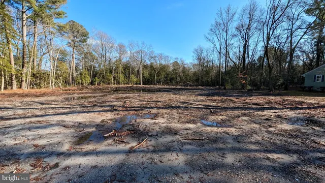 a view of dirt yard with trees