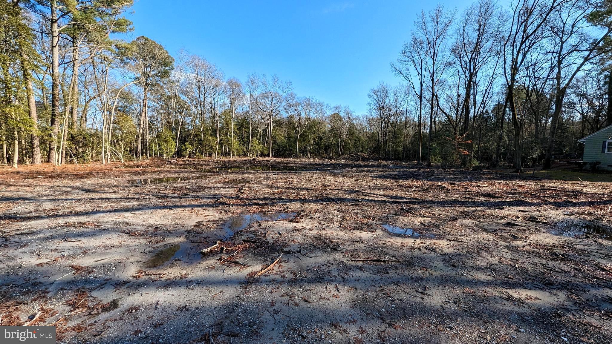 Lot 4 River Road Seaford, DE 19973 - Photo 4 of 5 a view of dirt yard with trees