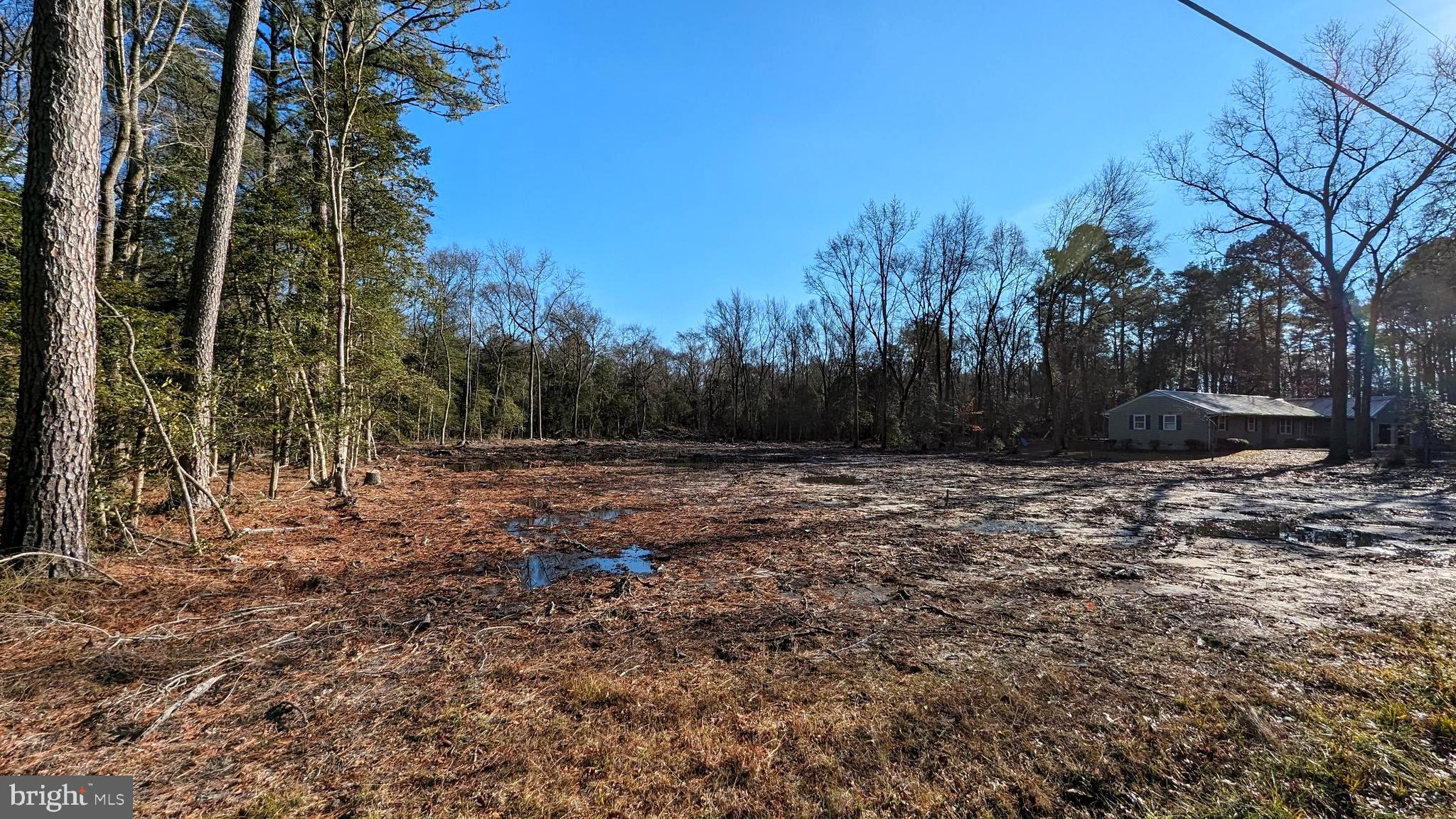 Lot 4 River Road Seaford, DE 19973 - Photo 5 of 5 a view of outdoor space with trees