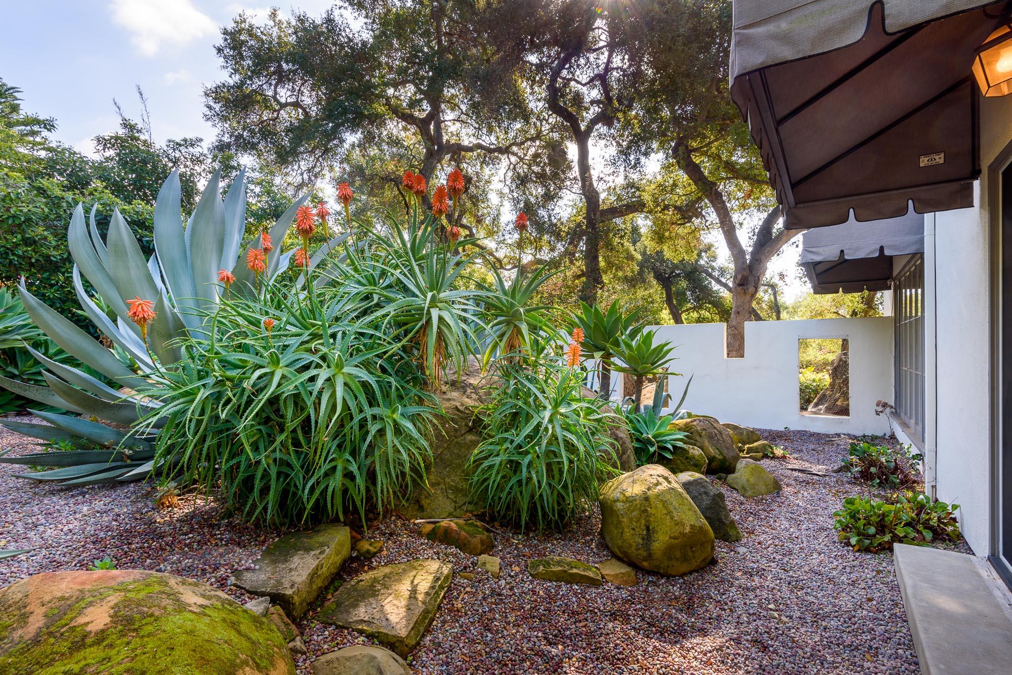 780 Mission Canyon Road Santa Barbara, CA 93105 - Photo 28 of 32 SucculantGarden
