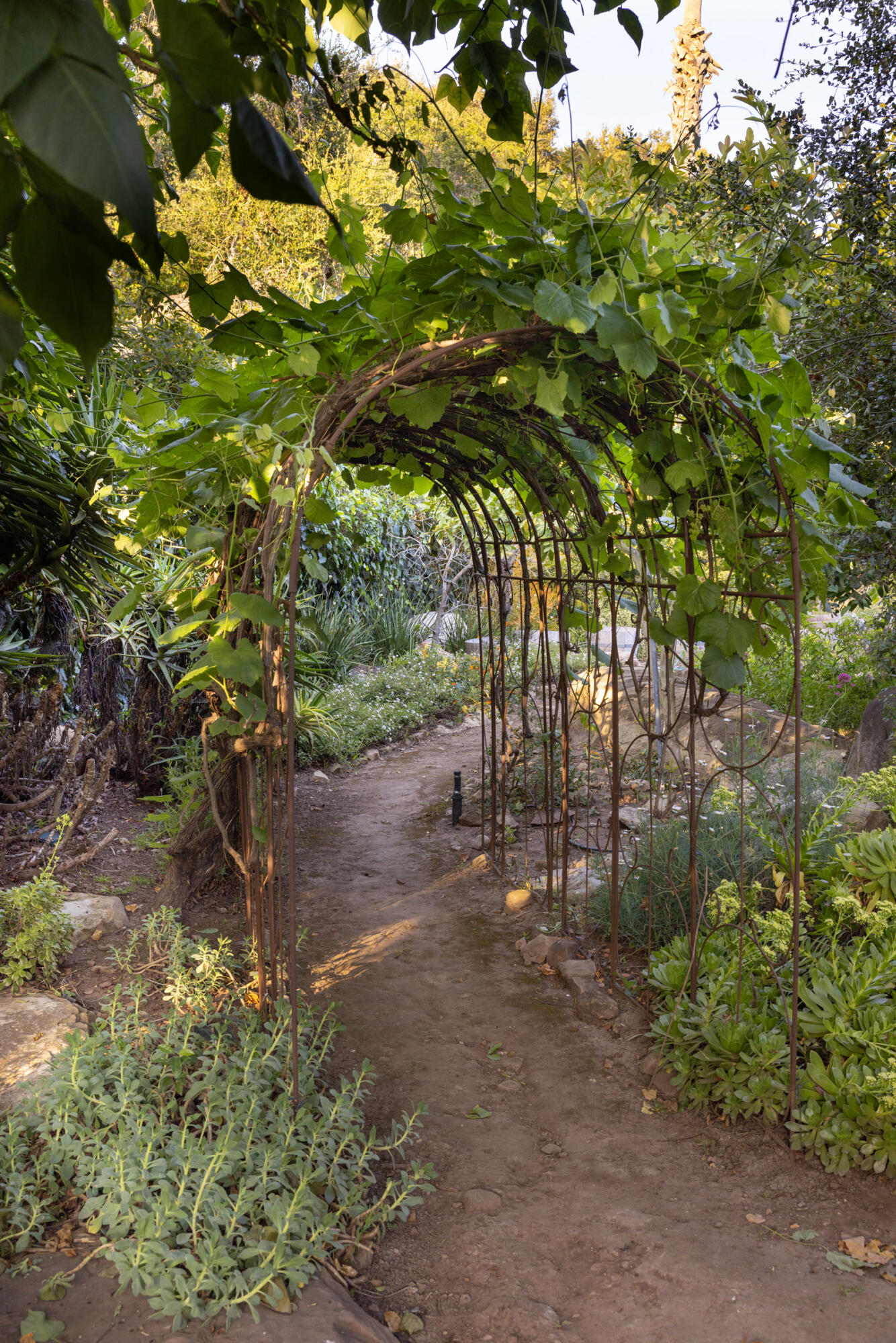 780 Mission Canyon Road Santa Barbara, CA 93105 - Photo 9 of 32 Romance