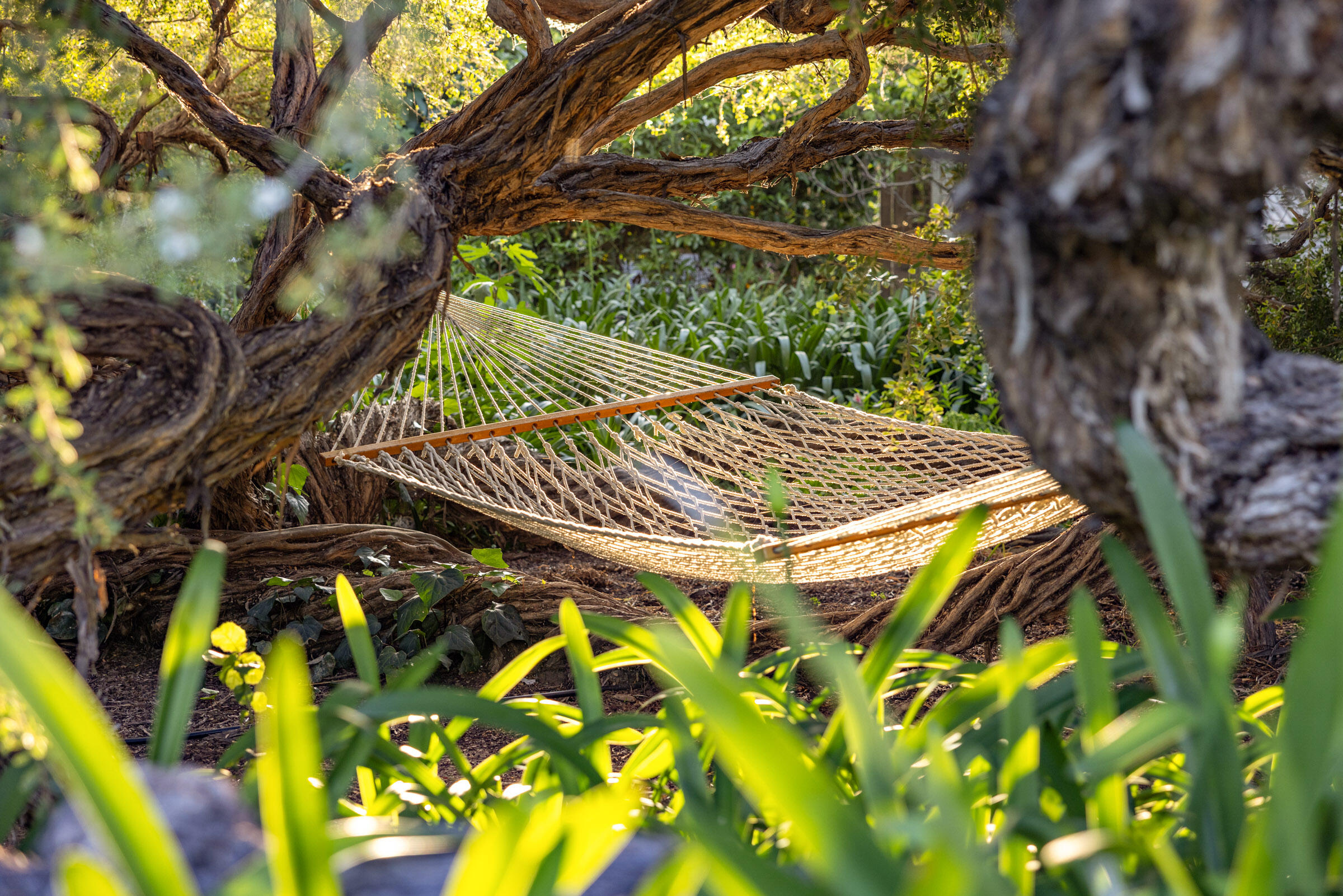 780 Mission Canyon Road Santa Barbara, CA 93105 - Photo 10 of 32 Relax Outside