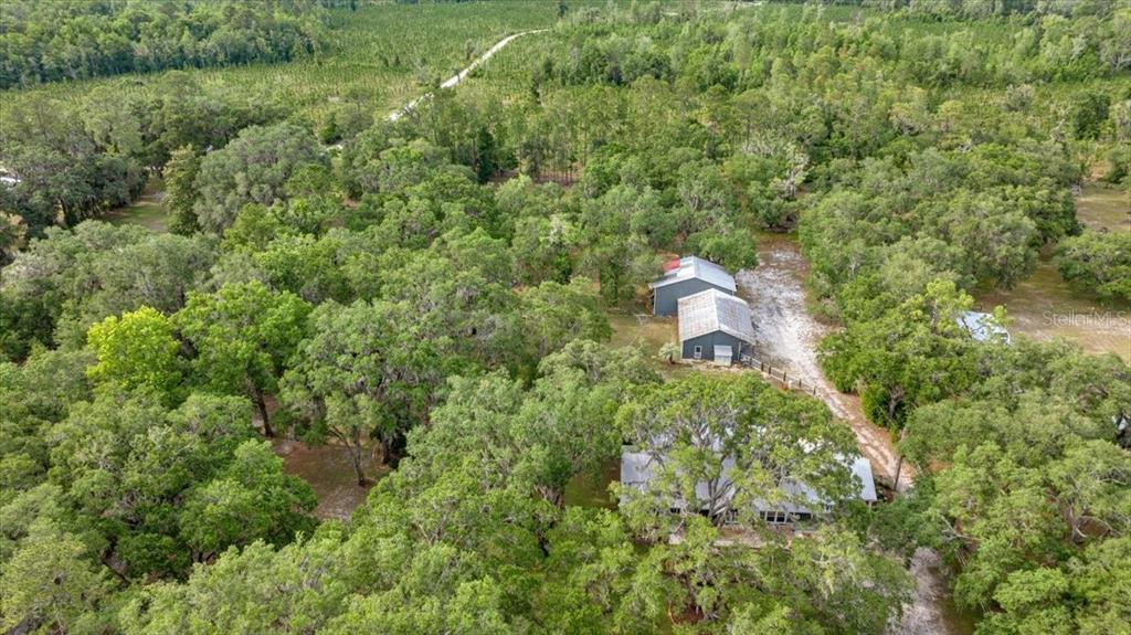 23461 Southwest 118th Street Dunnellon, FL 34431 - Photo 64 of 68