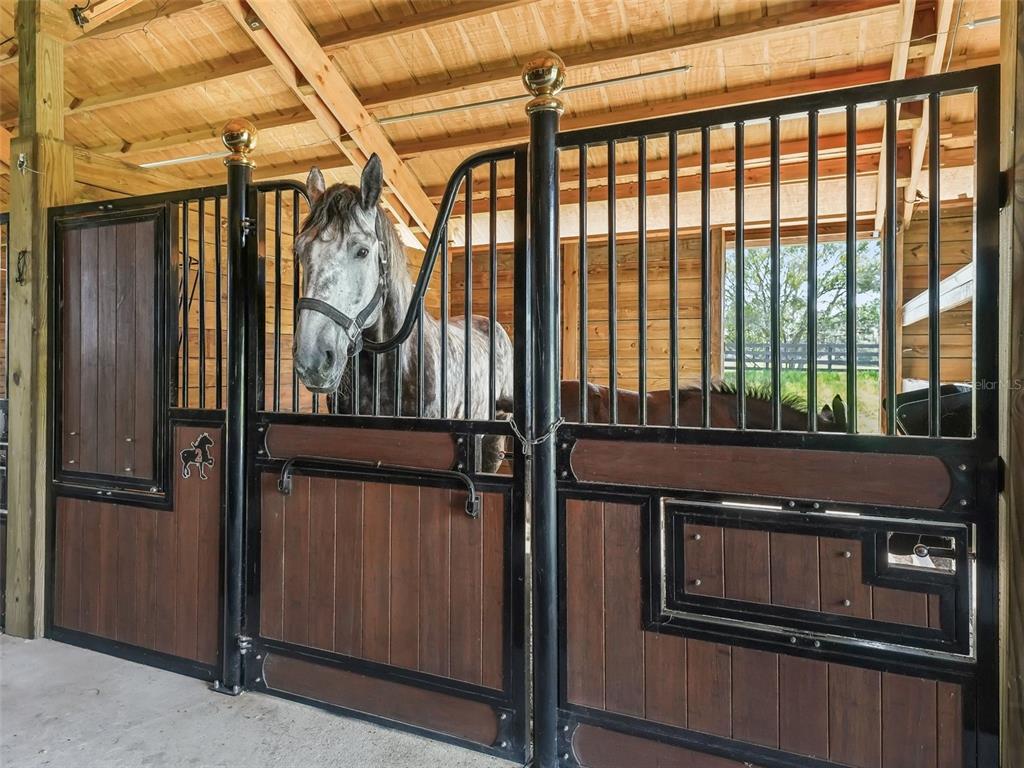 7041 Northeast 22nd Ct Road Ocala, FL 34479 - Photo 66 of 73