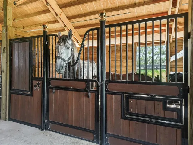 $2,100,000 | 7041 Northeast 22nd Ct Road, Ocala, FL 34479