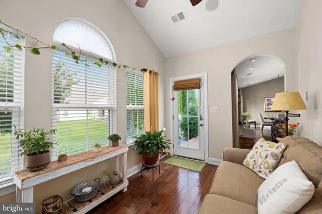 a view of a garden with a bench in a garden