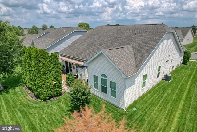 a view of a park with large trees