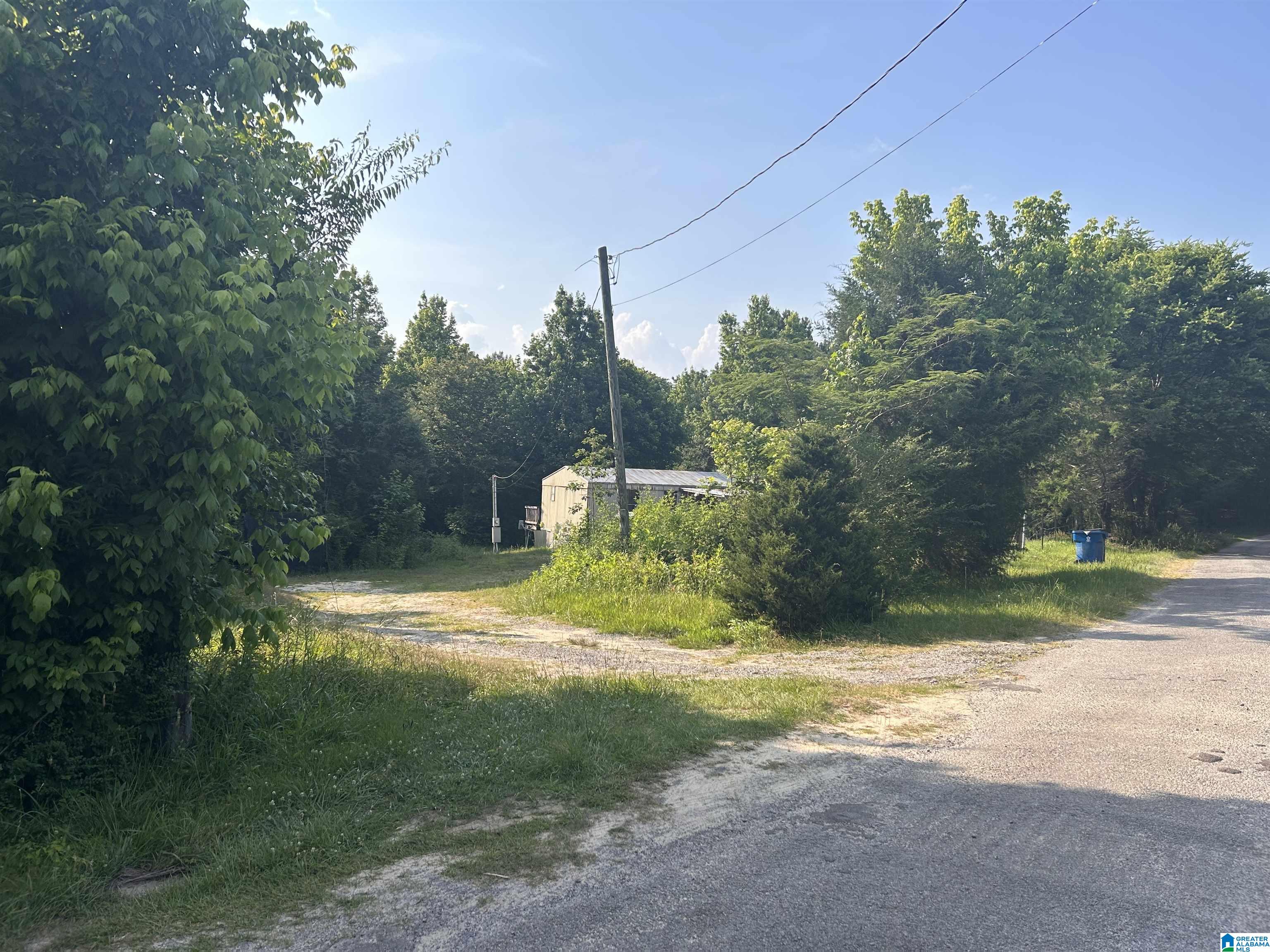 1601 Philpot Road Hayden, AL 35079 - Photo 4 of 17