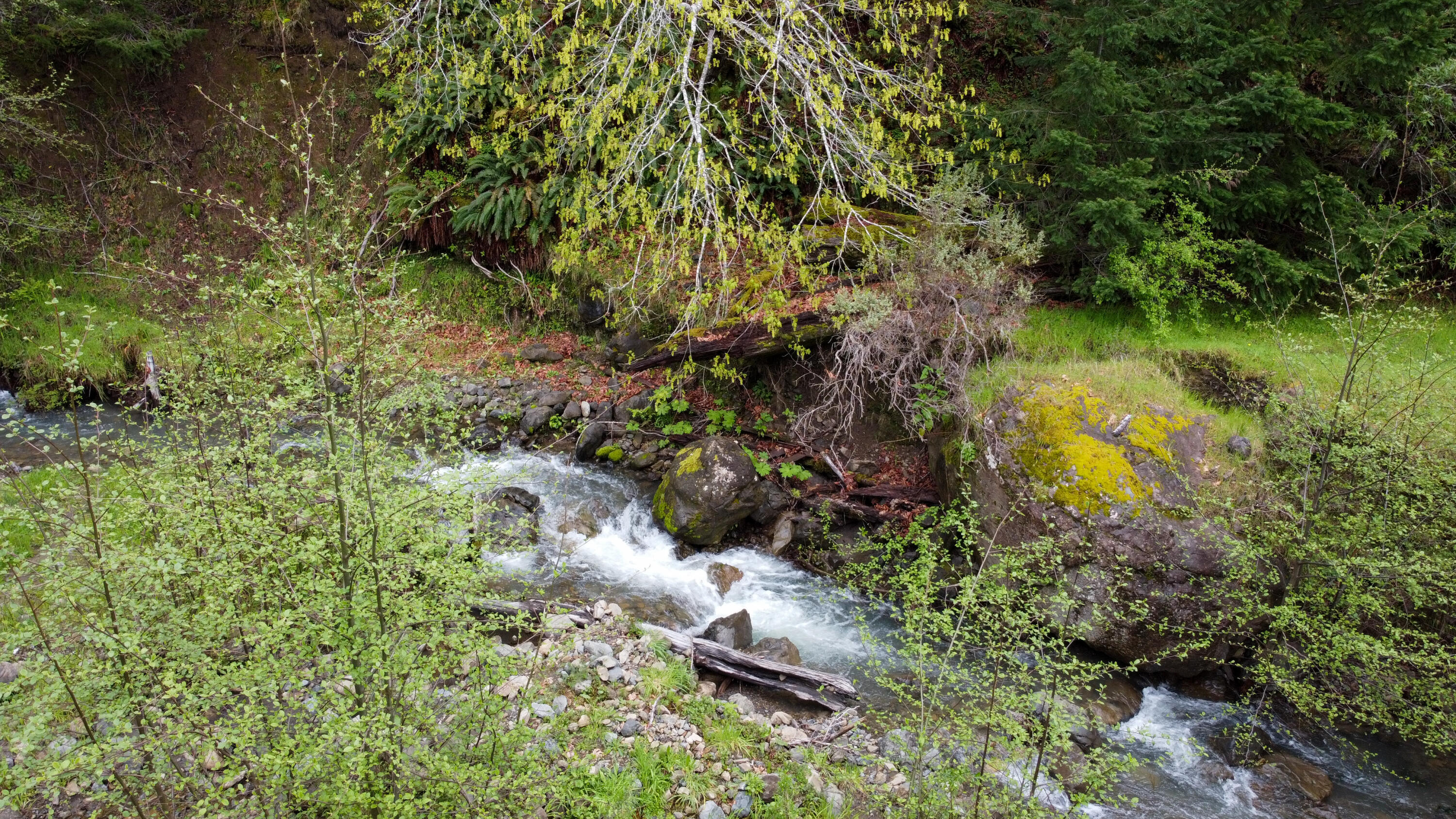 4001 Conklin Creek Road Ferndale, CA 95536 - Photo 78 of 125