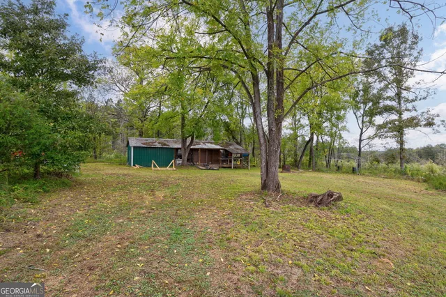 a view of a backyard with large trees