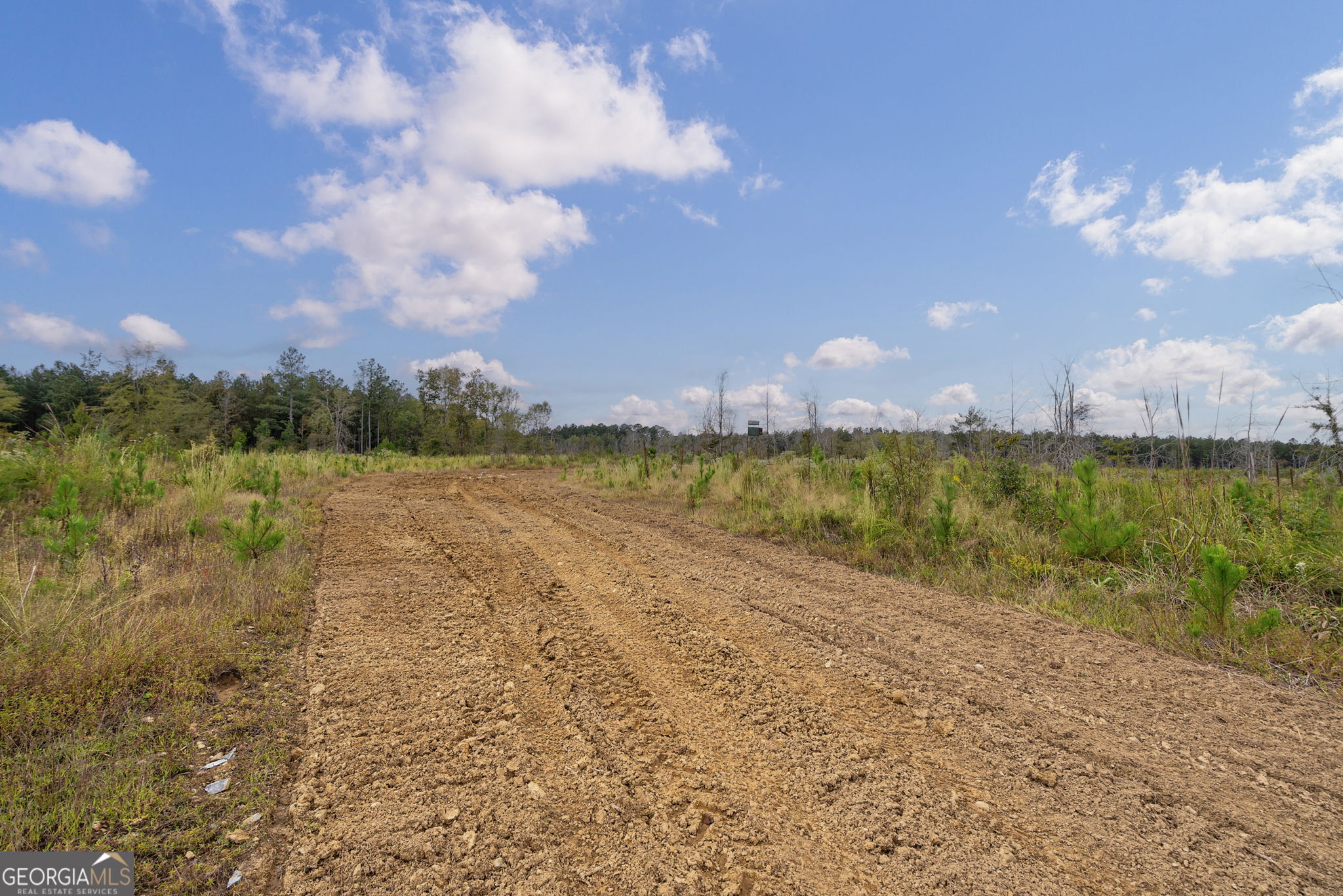 1 New Hope Vesta Road Carlton, GA 30627 - Photo 11 of 36 a view of a lake and mountain in the back