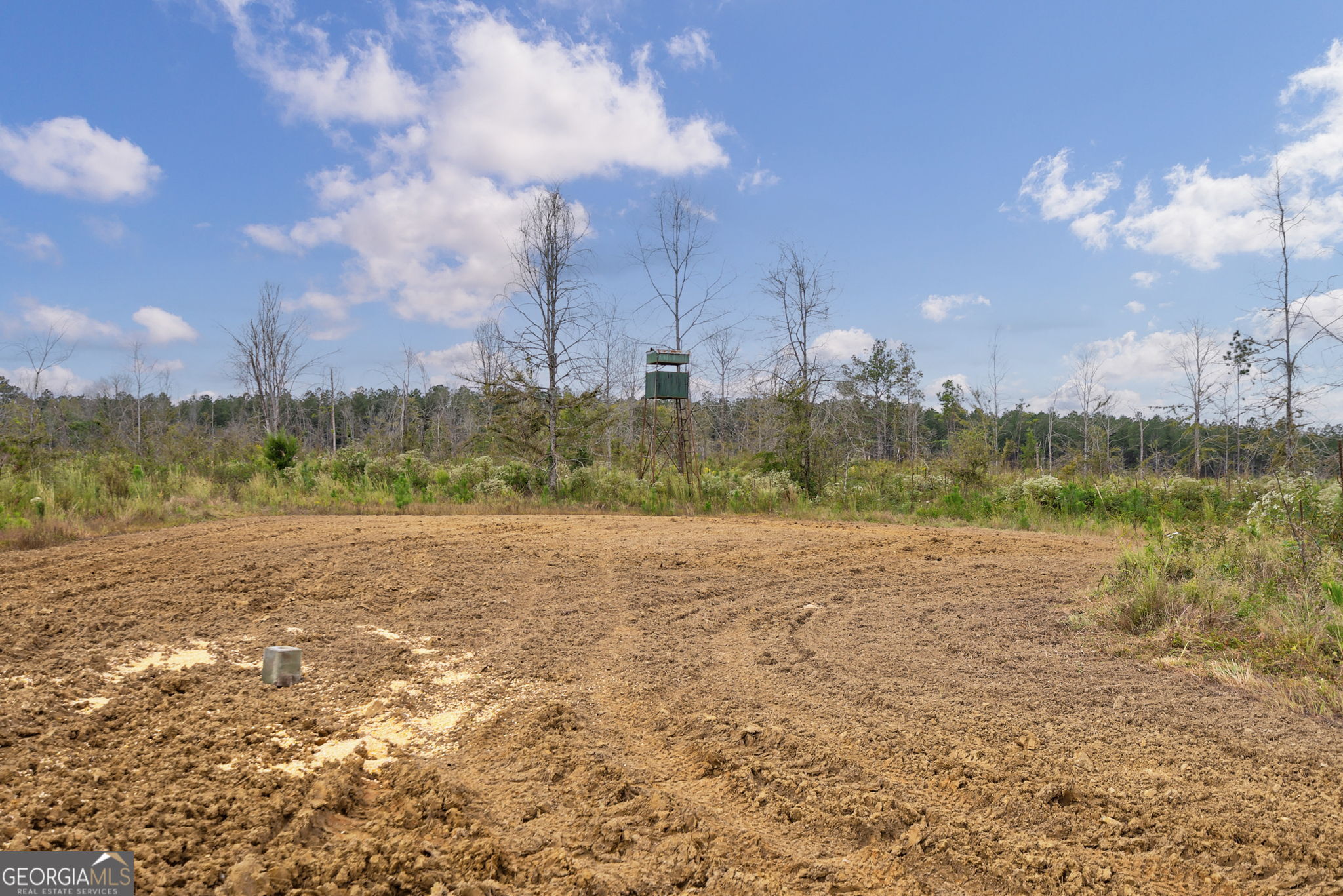 1 New Hope Vesta Road Carlton, GA 30627 - Photo 12 of 36 a view of lake