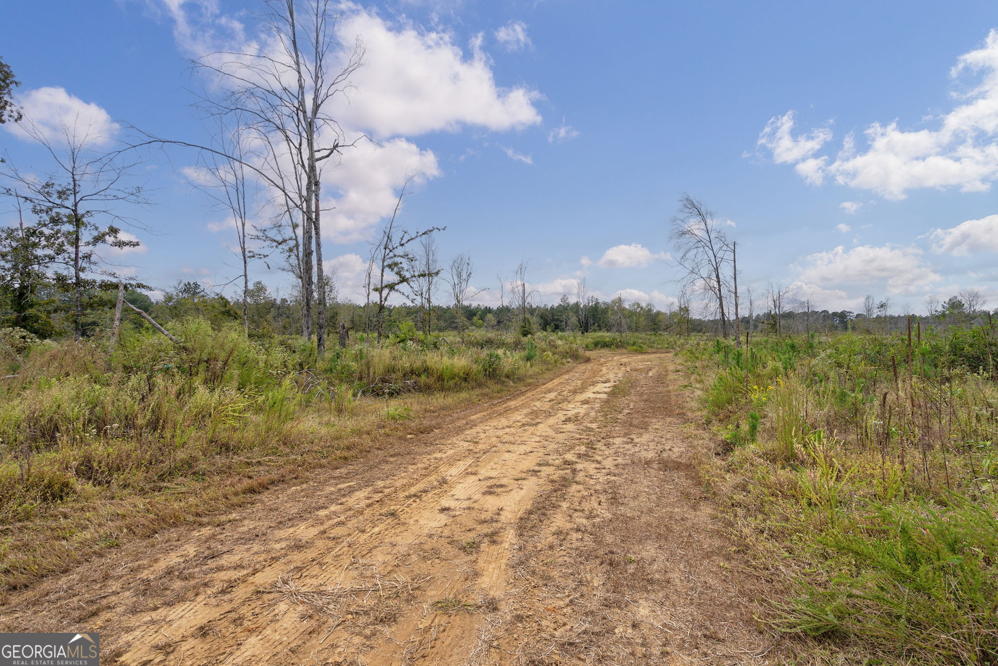 1 New Hope Vesta Road Carlton, GA 30627 - Photo 13 of 36 a view of a lake with a big yard