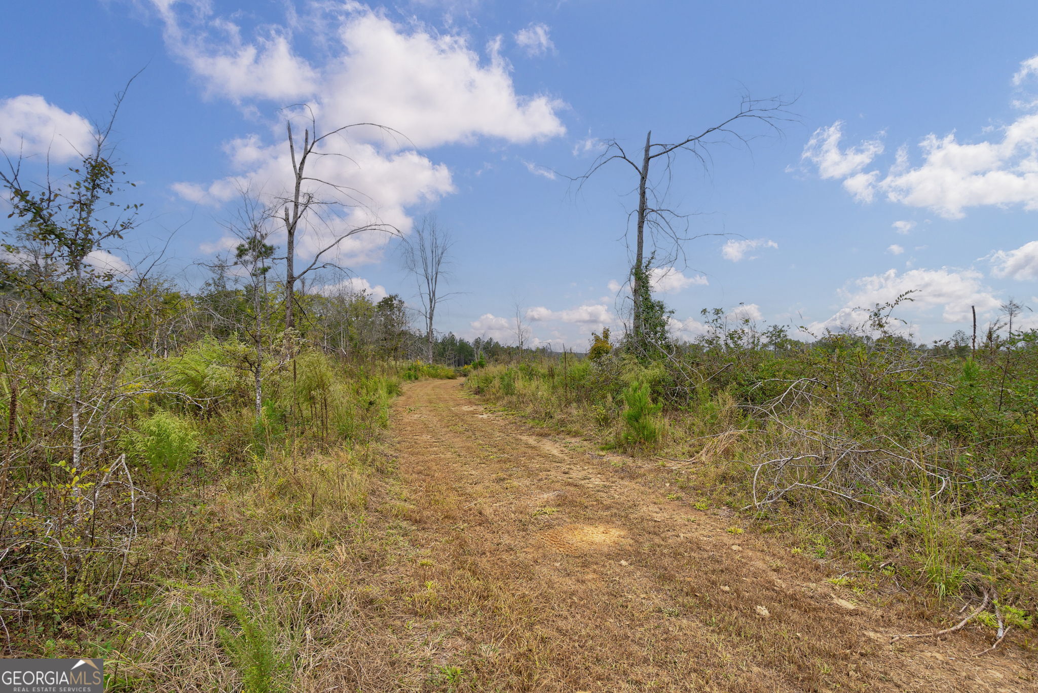 1 New Hope Vesta Road Carlton, GA 30627 - Photo 24 of 36