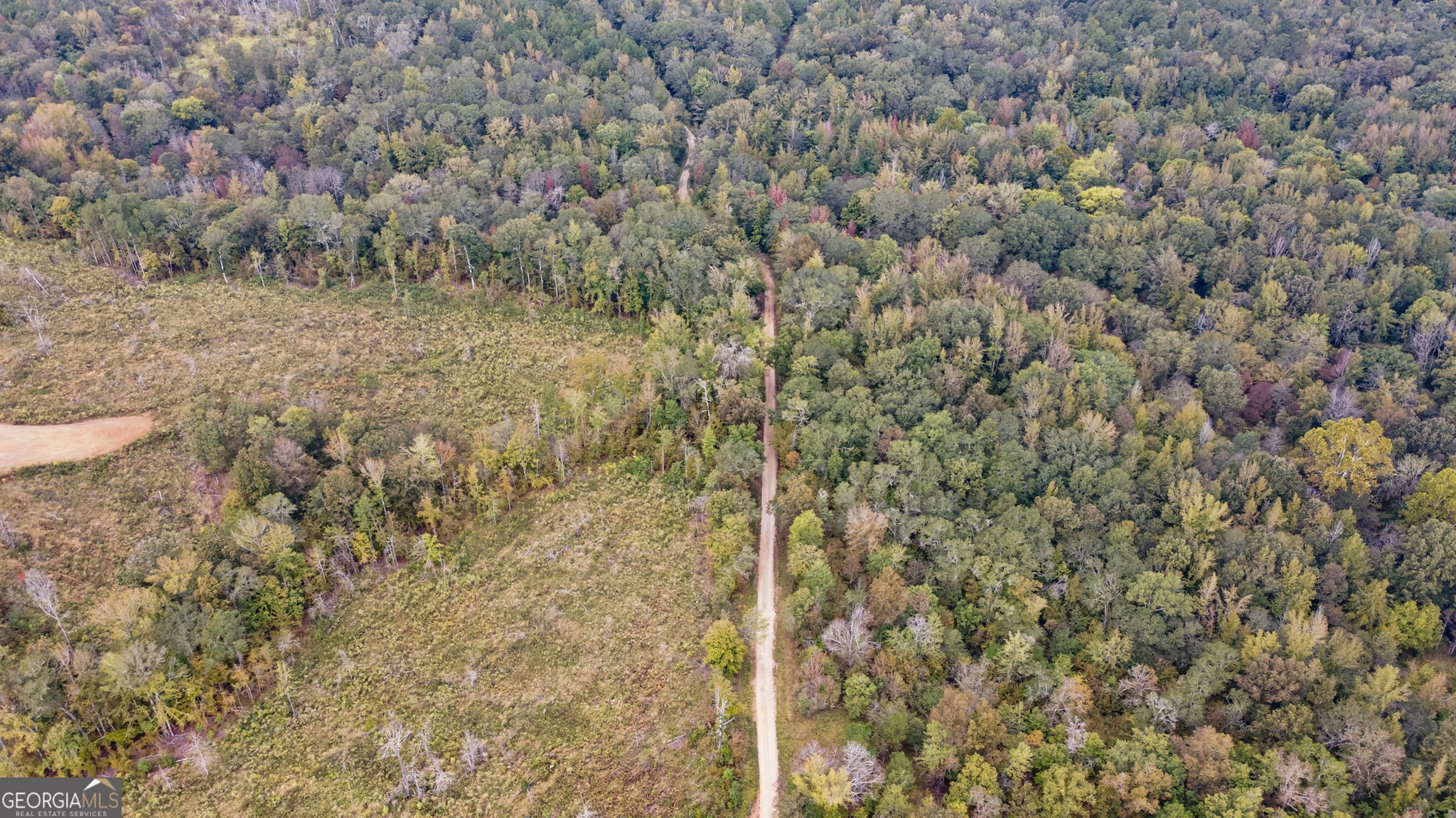 1 New Hope Vesta Road Carlton, GA 30627 - Photo 25 of 36