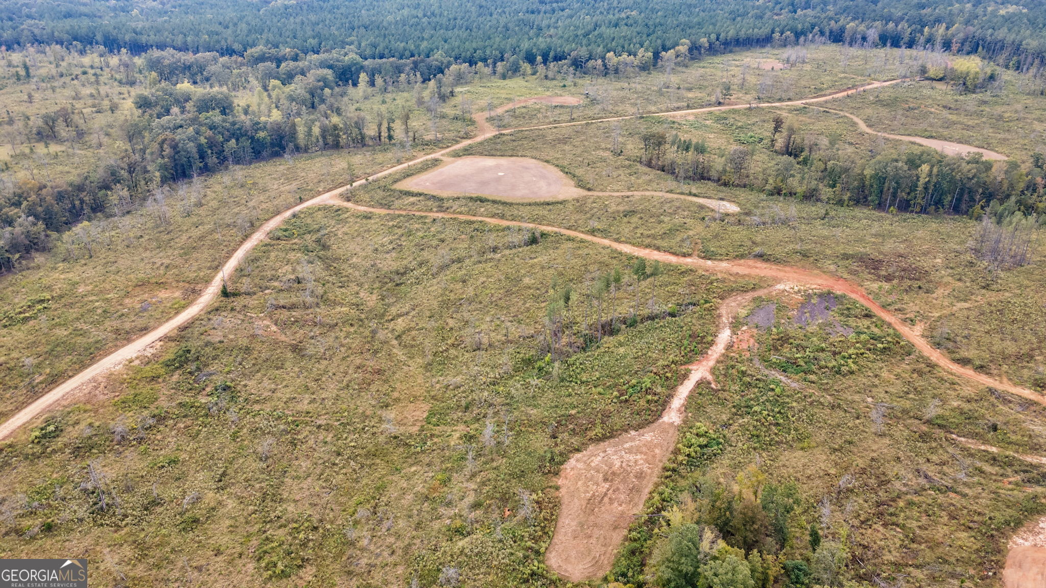 1 New Hope Vesta Road Carlton, GA 30627 - Photo 26 of 36 a view of a wooden floor