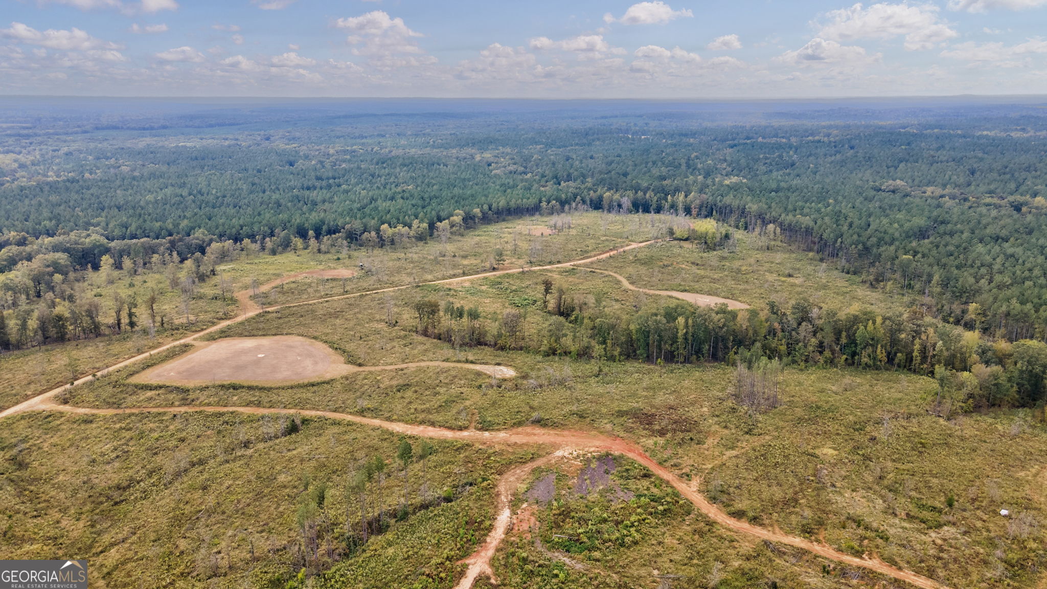 1 New Hope Vesta Road Carlton, GA 30627 - Photo 27 of 36 a view of a lake